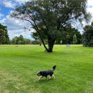 Meet your Posher, Jane